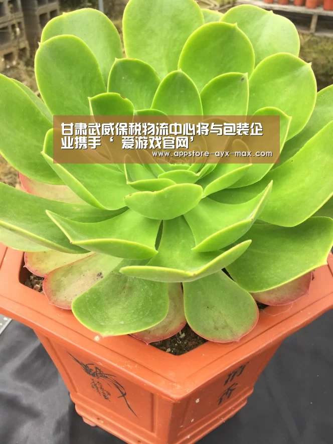  爱游戏体育App下载