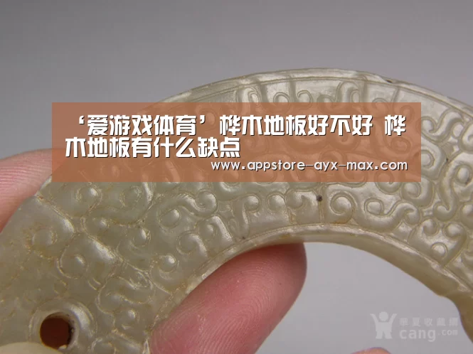  爱游戏体育App下载